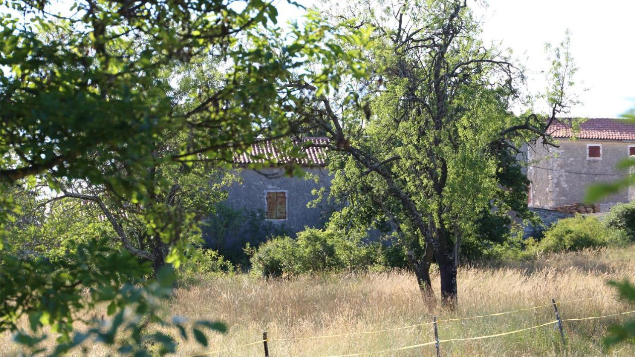 Casa Conte Istria Villa Kanfanar Exterior photo