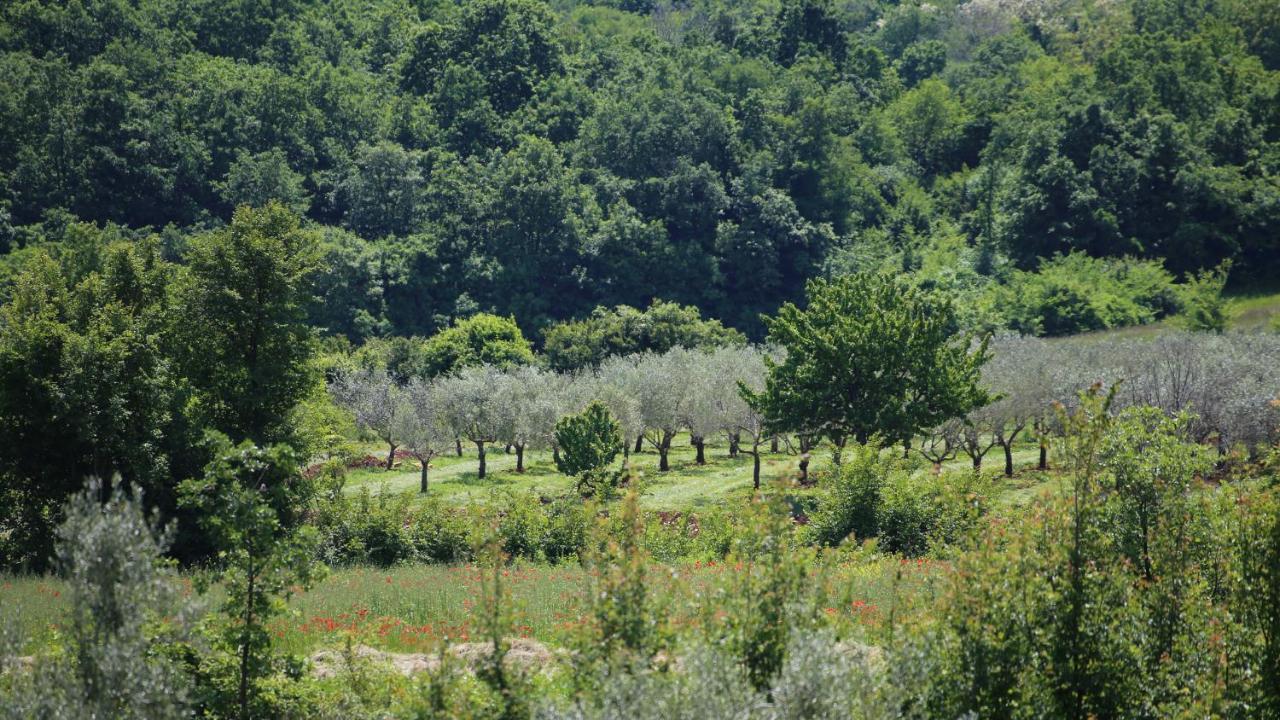 Casa Conte Istria Villa Kanfanar Exterior photo